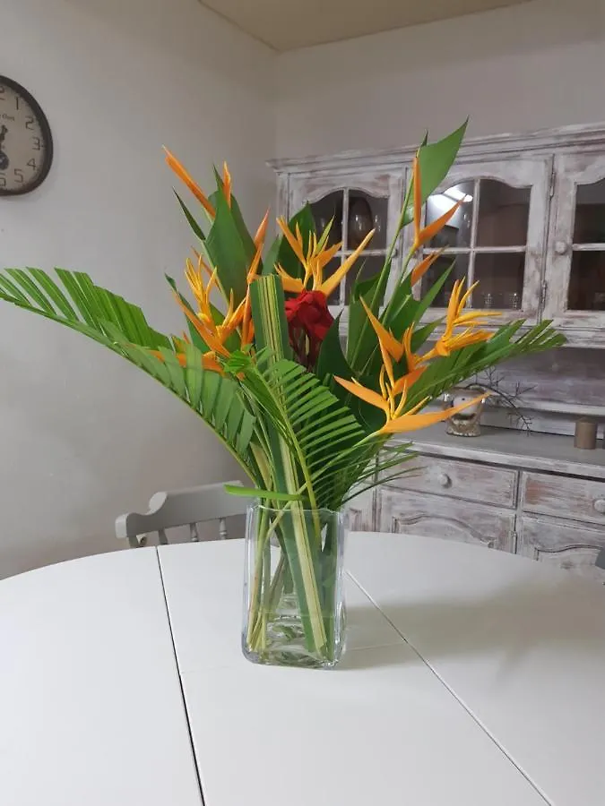 Roy'Al Beach Holidays Sainte-Luce Apartment